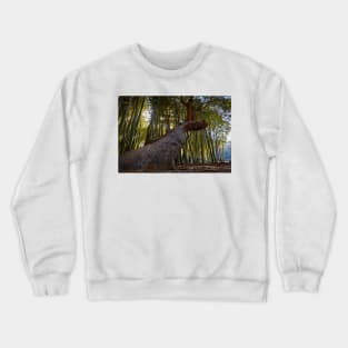 Middle of the Bamboo Forest Crewneck Sweatshirt